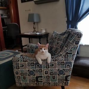 Meet your Posher, Sue